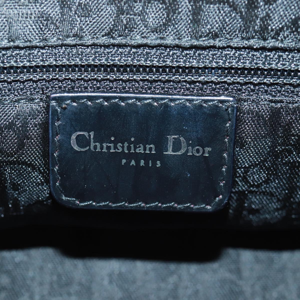 Christian Dior Hardcore Clutch Satin Small