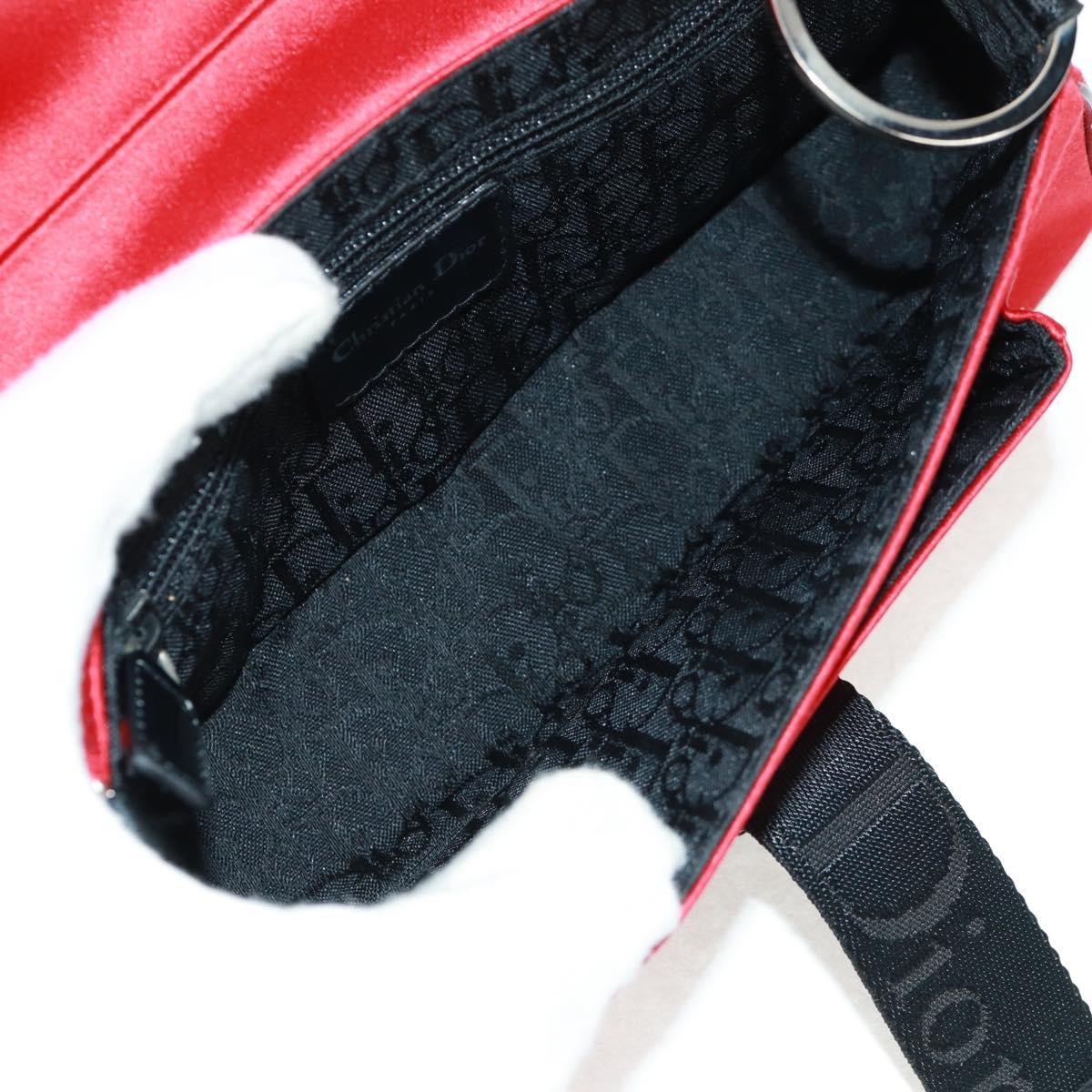 Christian Dior Hardcore Clutch Satin Small