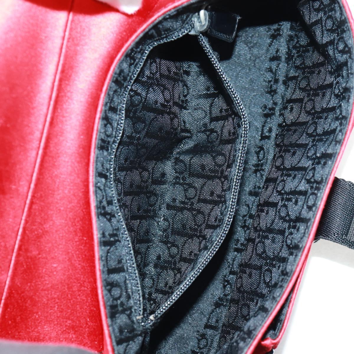 Christian Dior Hardcore Clutch Satin Small