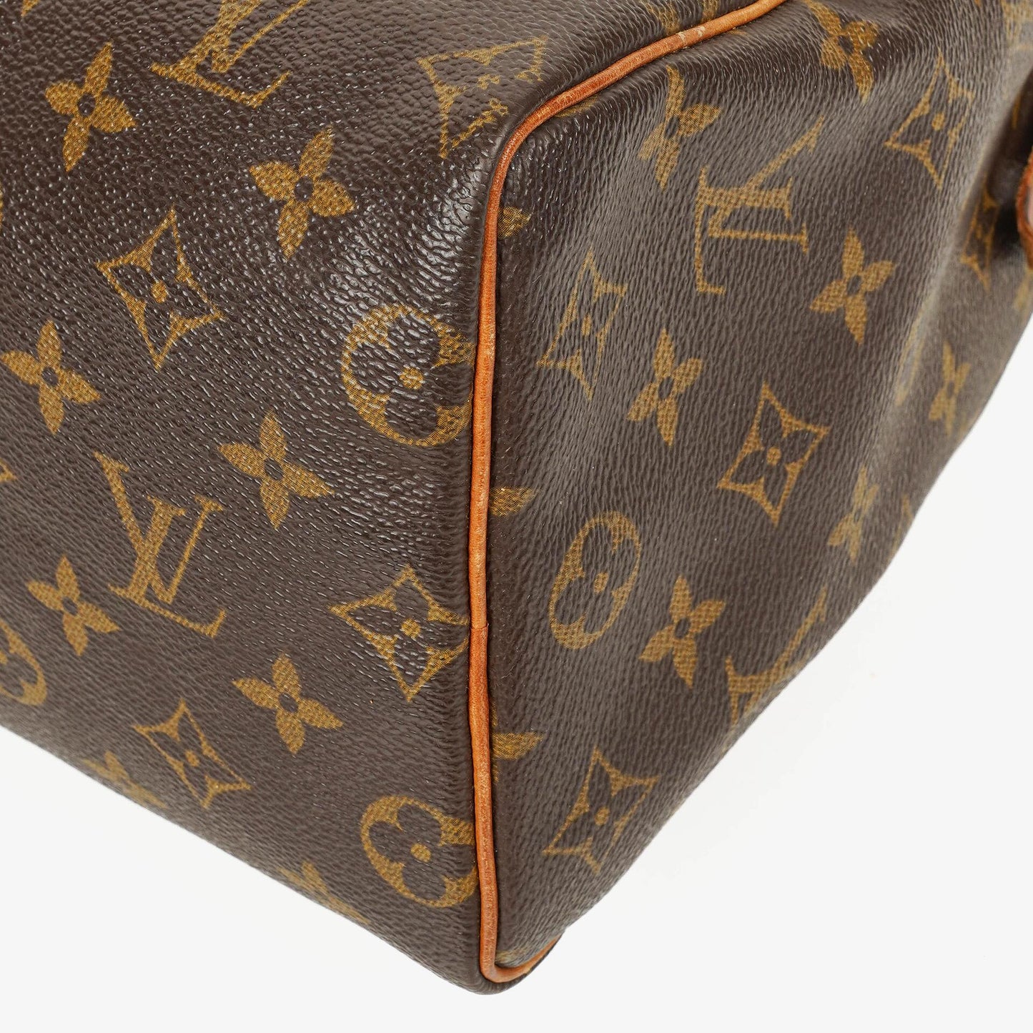 Louis Vuitton Speedy 25 Monogram Canvas Bag
